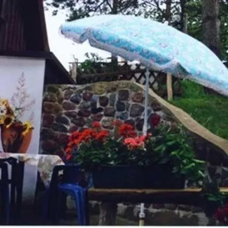 Ferienhaus Am Peenestrom Rankwitz